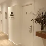 Albany Ancha 4* León