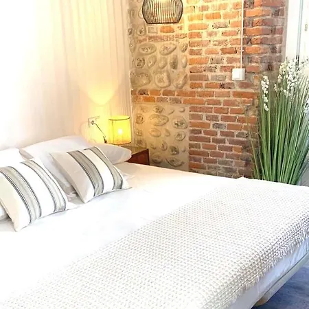 招待所 Albany Ancha