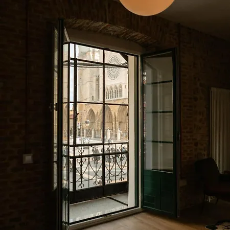 Albany Ancha 招待所