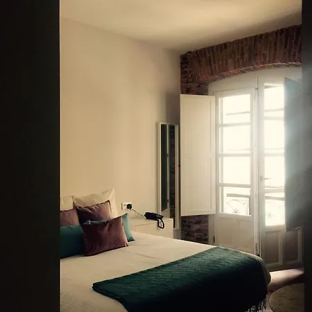 Albany Ancha 3* 莱昂