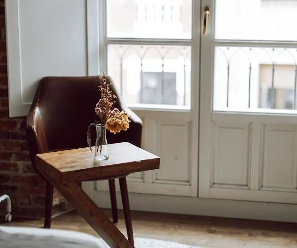 Albany Ancha レオン