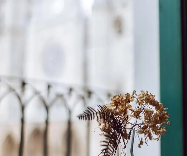 Albany Ancha 3* Leon