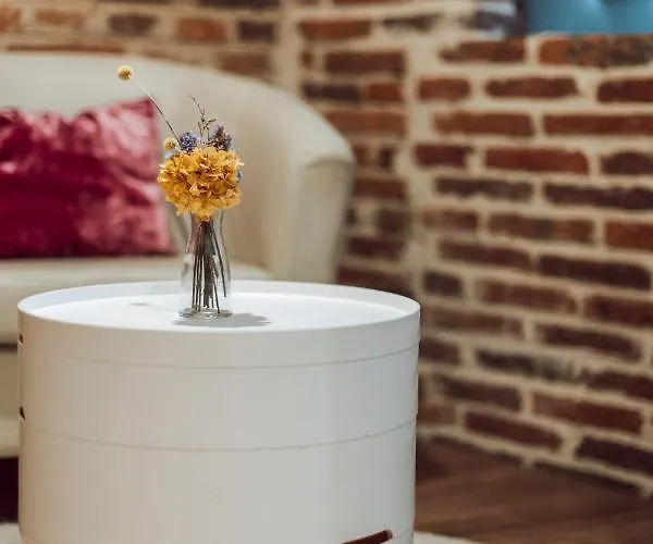 Pensión Albany Ancha 3*