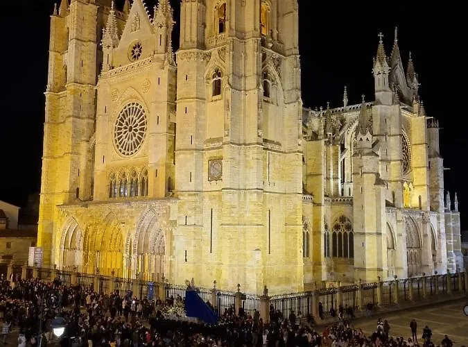 Albany Ancha ゲストハウス 3*