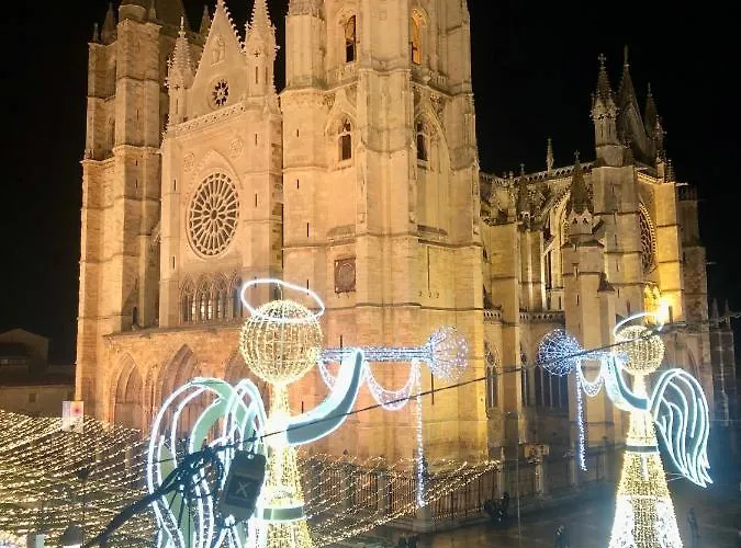 Albany Ancha ゲストハウス