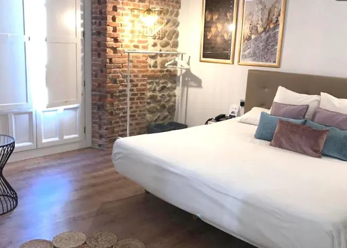 Albany Ancha ゲストハウス 3*