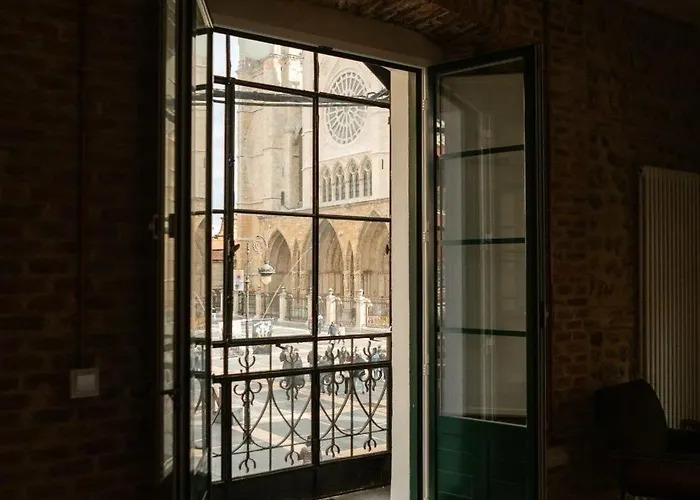 Albany Ancha Guest house