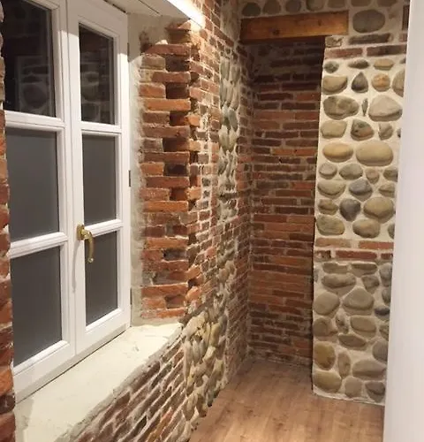 Albany Ancha レオン