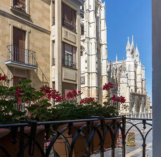 Albany Ancha ゲストハウス レオン