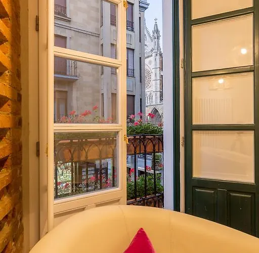 Albany Ancha Guest house