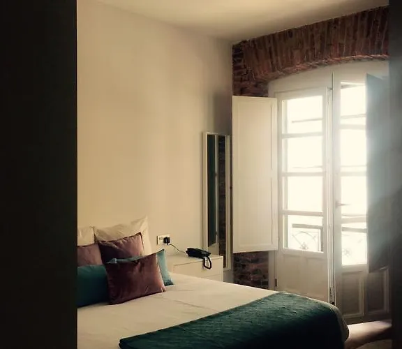 Albany Ancha 3* Leon