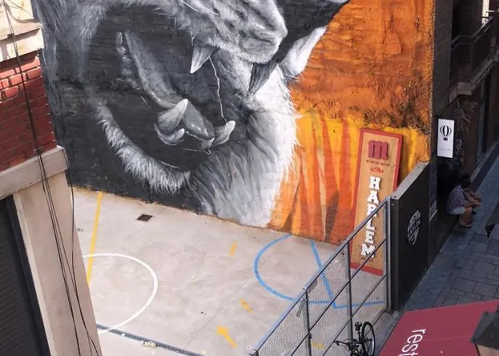 Albany Ancha ゲストハウス 3*