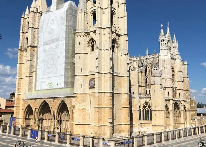 Albany Ancha ゲストハウス 3*