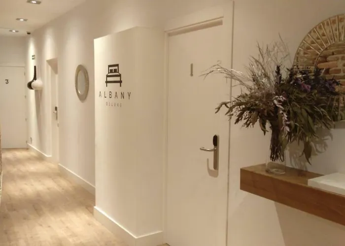 Albany Ancha 3* Leon